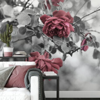 Greyscaled Red Flowers Wallpaper, Moody and Dramatic Peel and Stick Wall Mural, Self Adhesive Removable Wallpaper for a Contemporary and Edgy Look