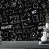 Chalkboard With Chemistry Icons Illustrations Wallpaper, Black and White Science Theme Wall Mural for Kids and Classrooms