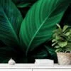 Tropical Dark Themed Cannifolium Plant Leaves Wallpaper, Mystical Tropical Peel & Stick Wall Mural - Image 2