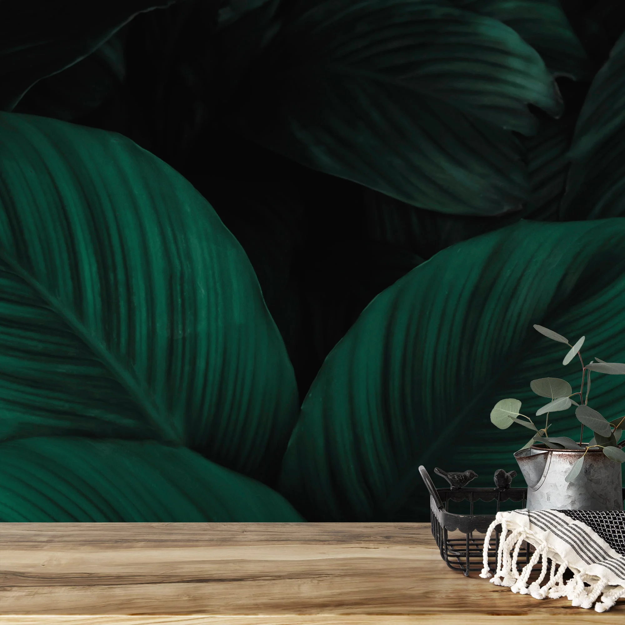 Dark Tropical Cannifolium Leaves Wallpaper, Deep Botanical Peel & Stick Wall Mural