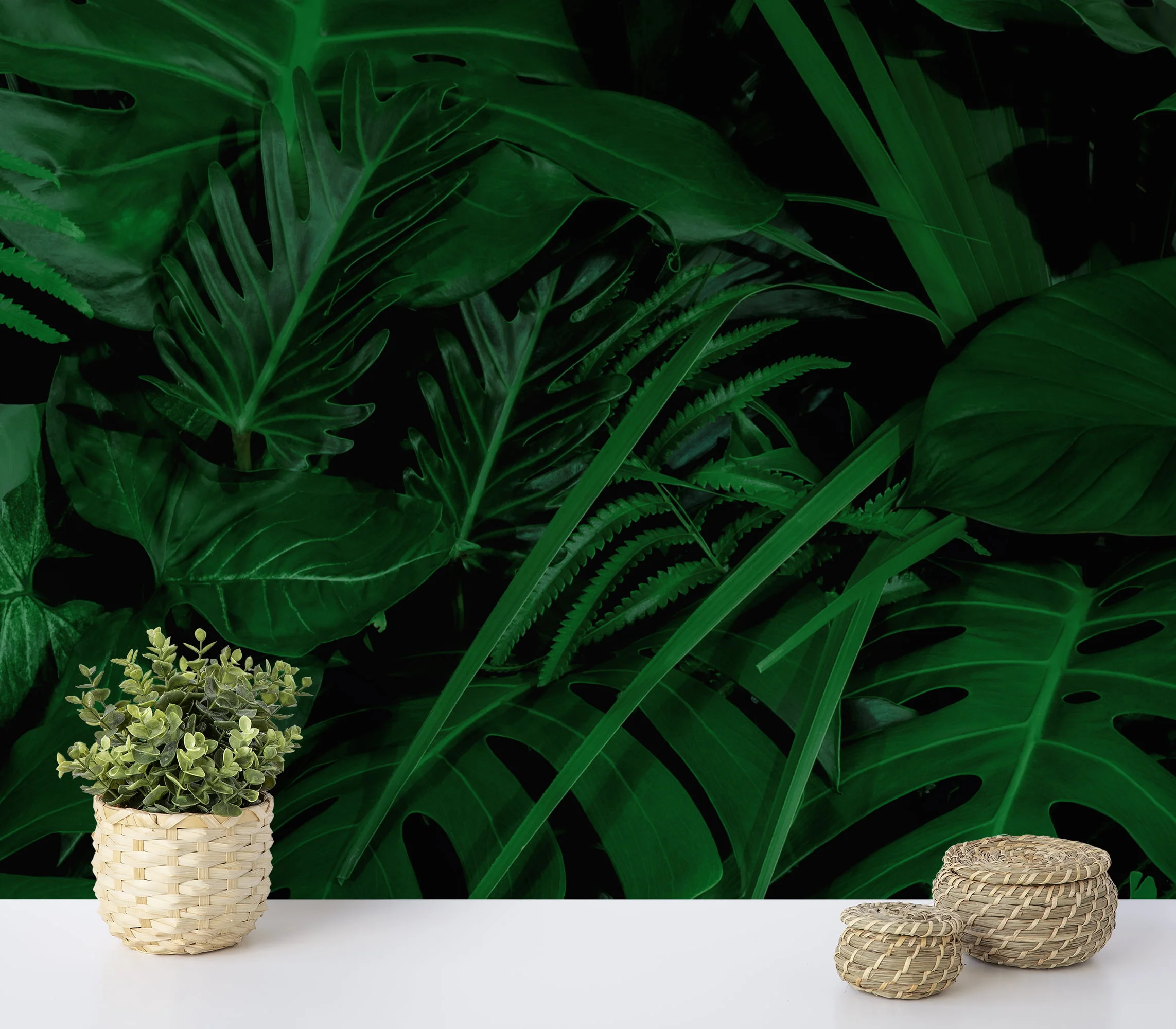 Tropical Jungle Style Large Leaves Wallpaper, Luxe Jungle Ambiance Peel & Stick Wall Mural
