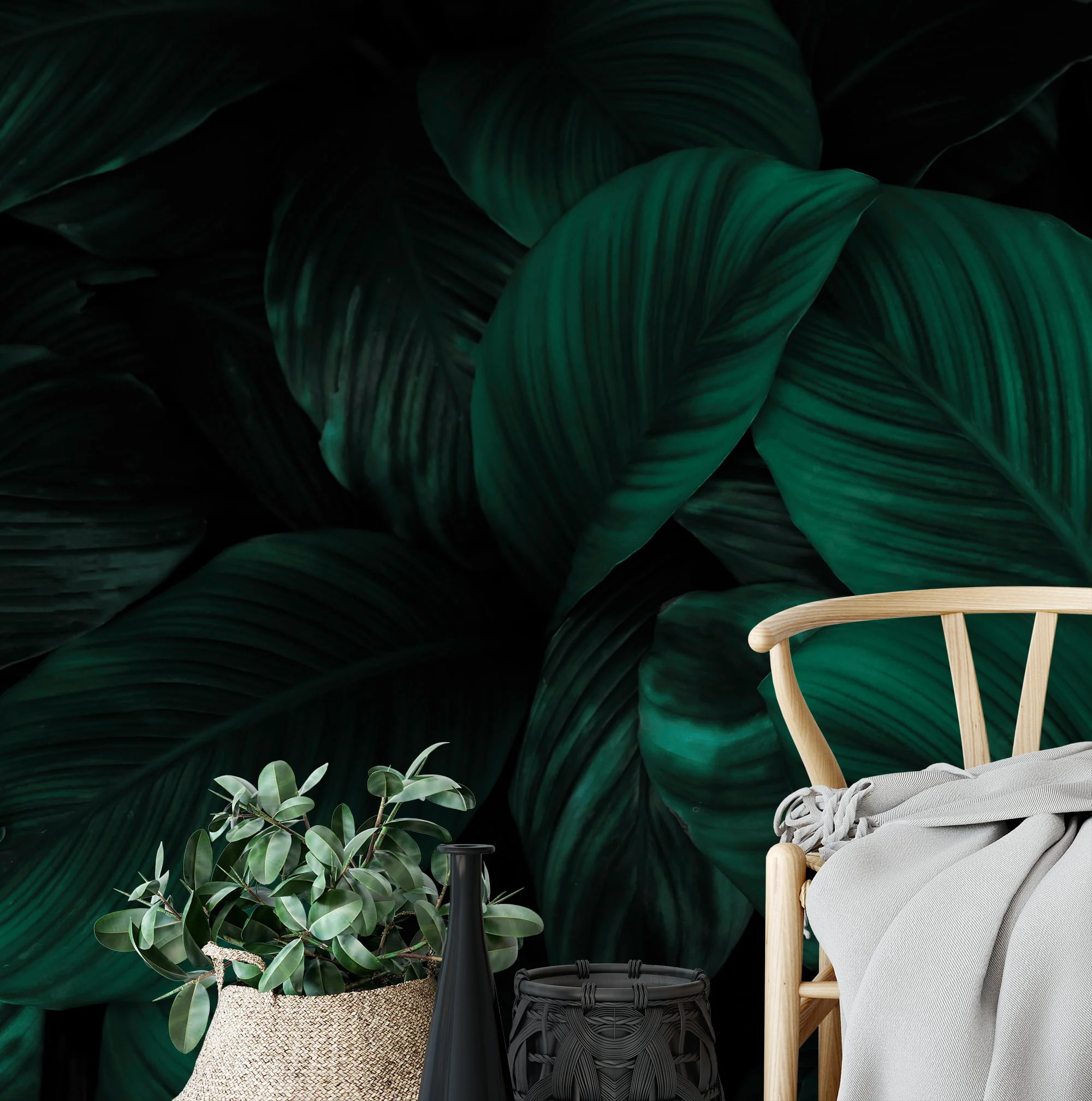 Dark Tropical Cannifolium Leaves Wallpaper, Deep Botanical Peel & Stick Wall Mural