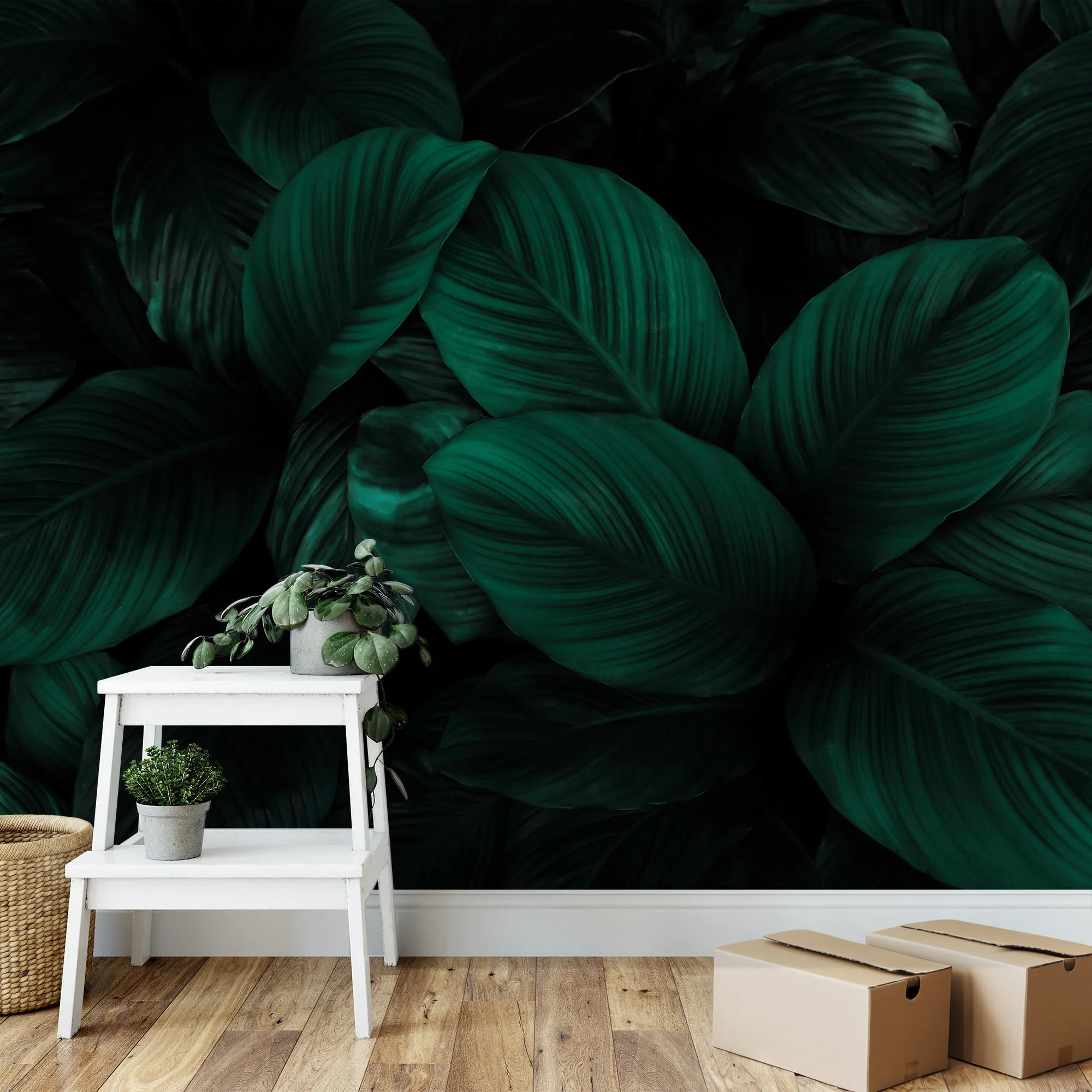 Dark Tropical Cannifolium Leaves Wallpaper, Deep Botanical Peel & Stick Wall Mural
