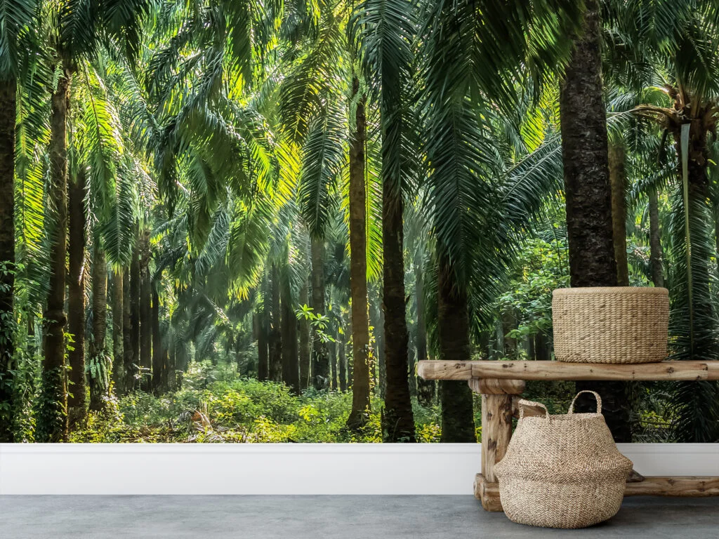 Sunlit Palm Forest Garden Wallpaper, Lush Tropical Palm Tree Plantation Peel & Stick Wall Mural