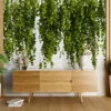 Hanging Garden Greens With A White Background Wallpaper, Nature-Inspired Growing Vines Peel & Stick Wall Mural