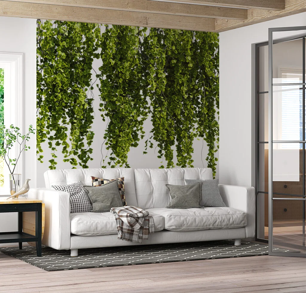 Hanging Garden Greens With A White Background Wallpaper, Nature-Inspired Growing Vines Peel & Stick Wall Mural