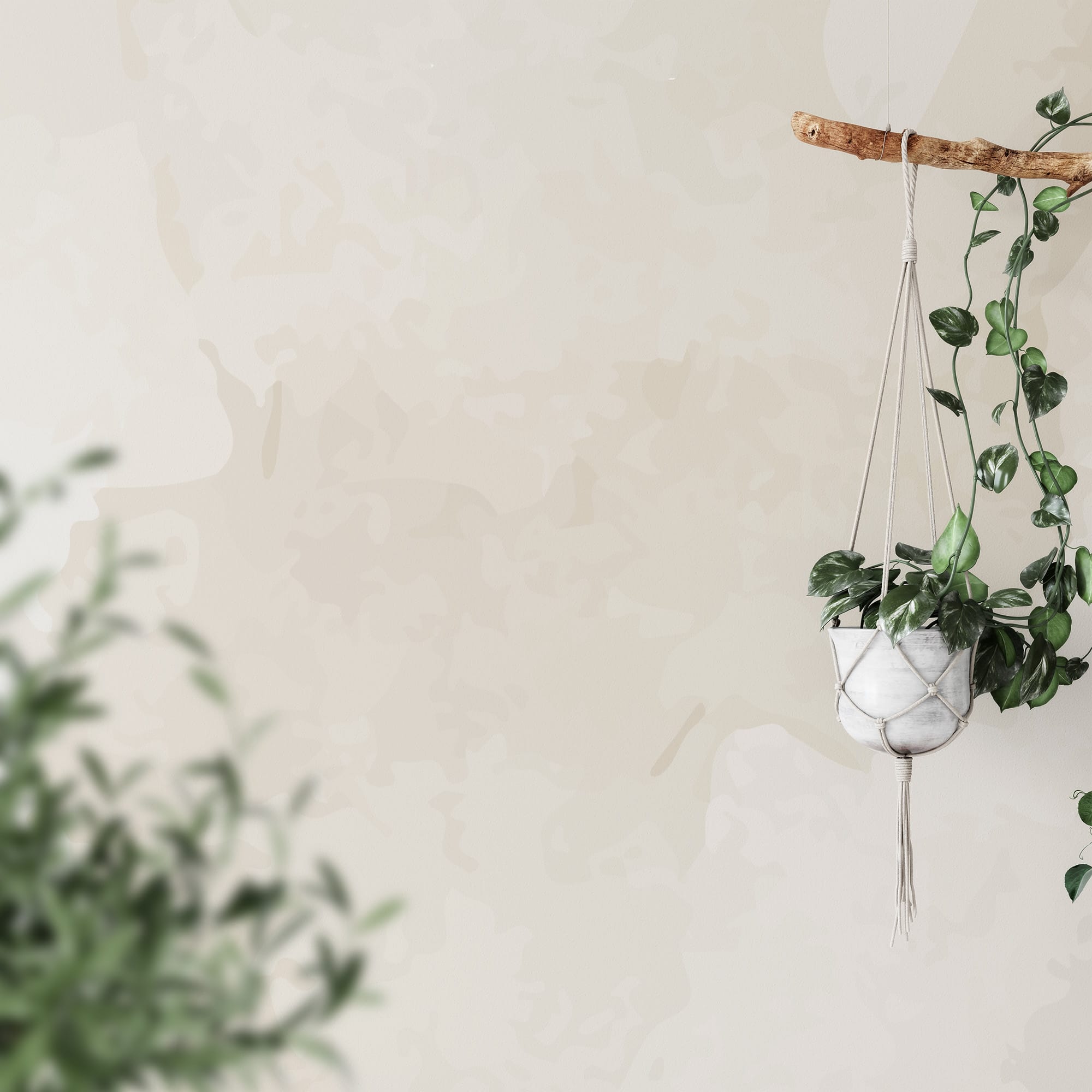 Minimalist Beige Watercolor Peel and Stick Wallpaper, Neutral Organic Textured Wall Mural, Wabi-Sabi Style Home Decor